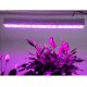 Waterproof Horticulture 300W Led Linear Grow Light