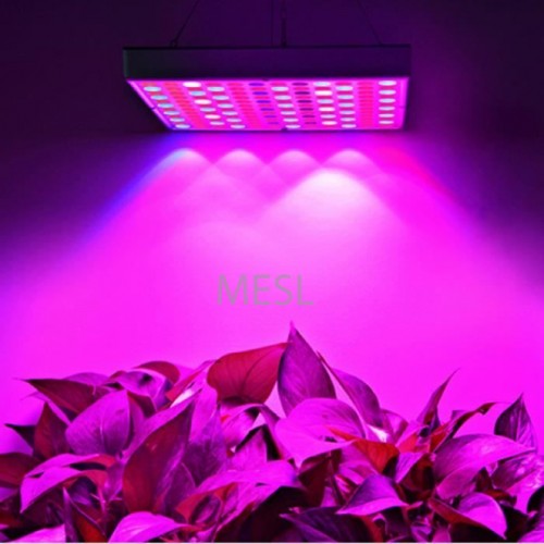 500W Led Plant Horticultural Grow Light
