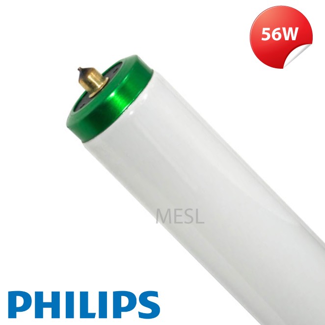 philips 369892